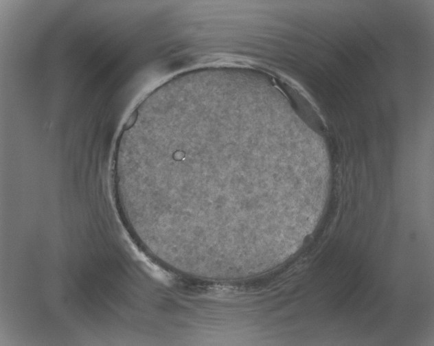 X0000080661379200701050931