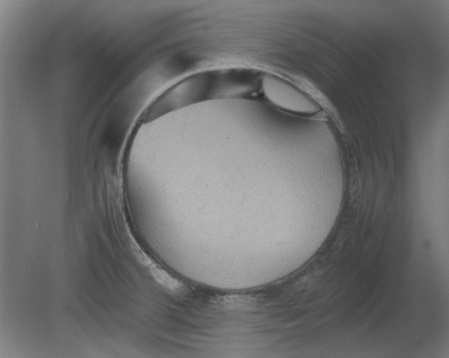 X0000080661380200701050931