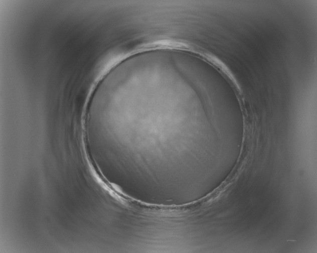 X0000080661381200701050931