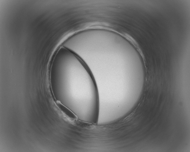 X0000080661384200701050931