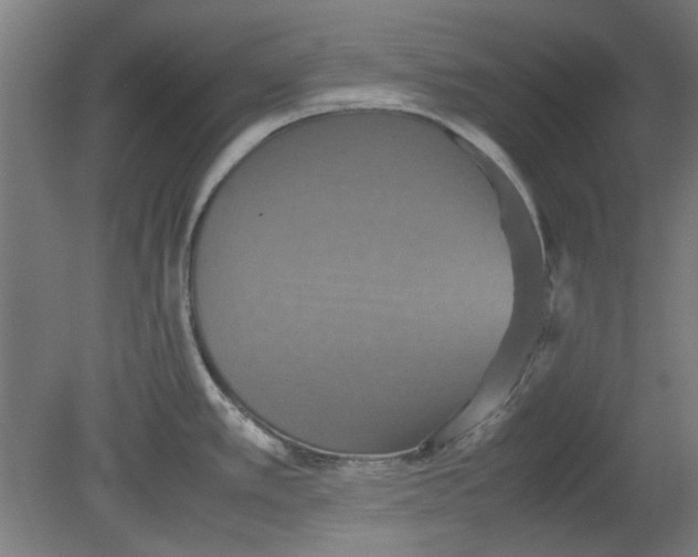 X0000080661389200701050931