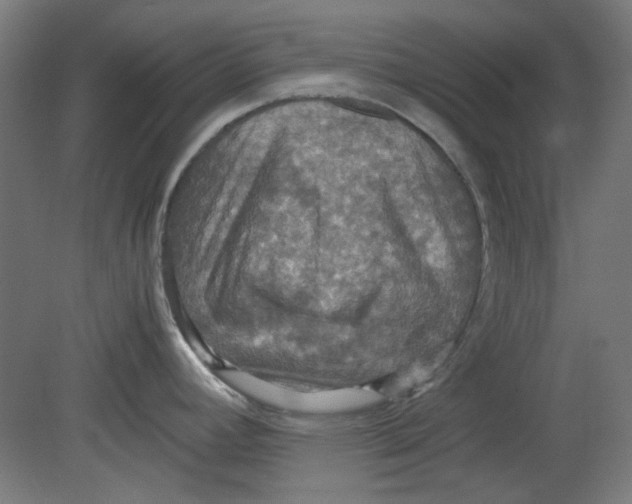 X0000080661392200701050931