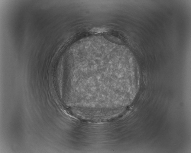 X0000080661393200701050930