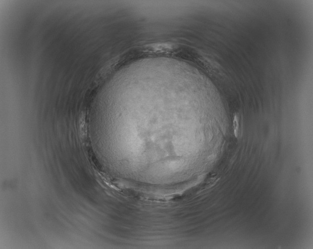 X0000080661395200701050930