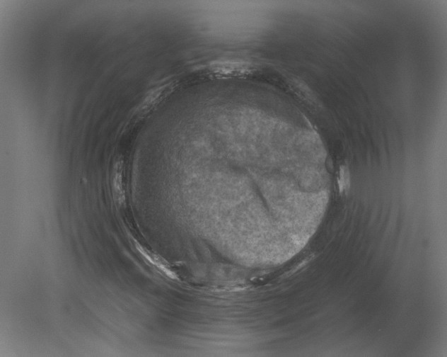 X0000080661396200701050930