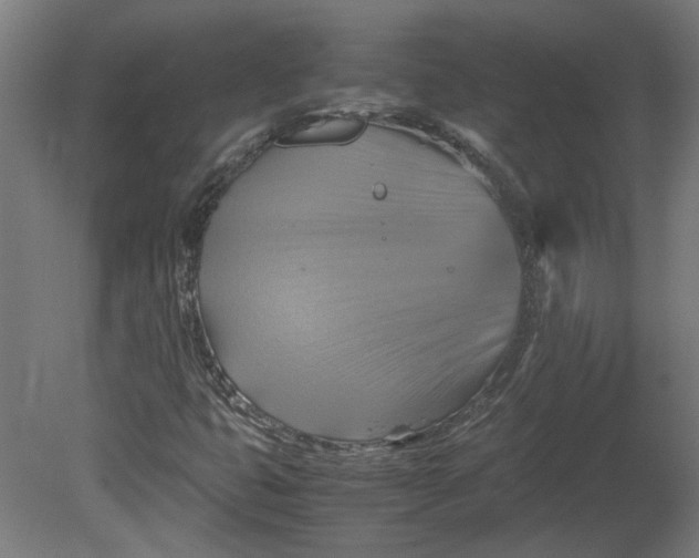 X0000080661399200701050931