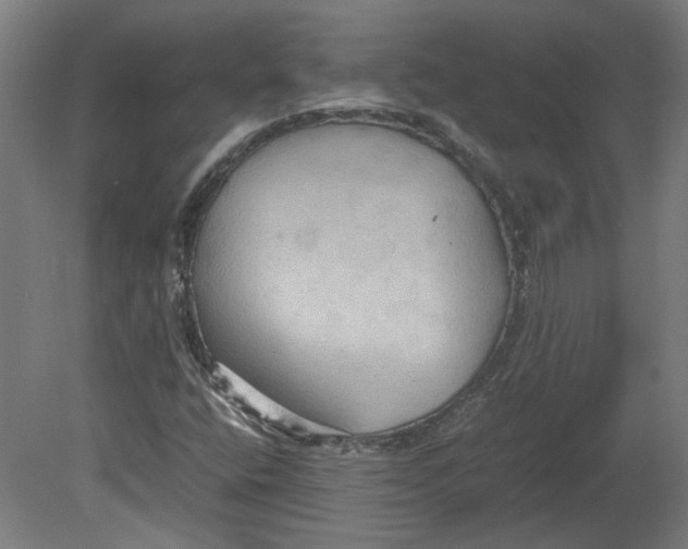 X0000080661400200701050931