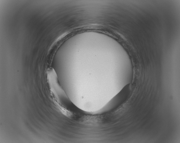 X0000080661402200701050931