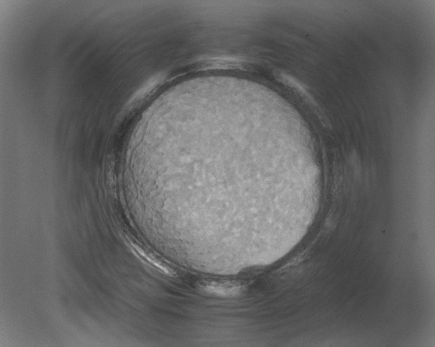 X0000080661403200701050931