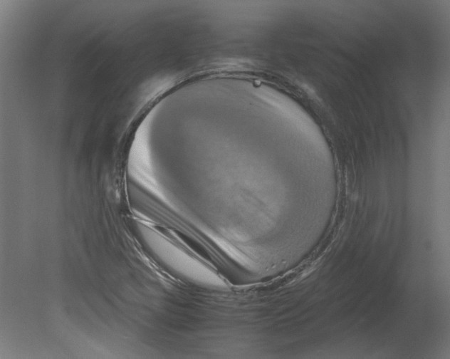 X0000080661405200701050931