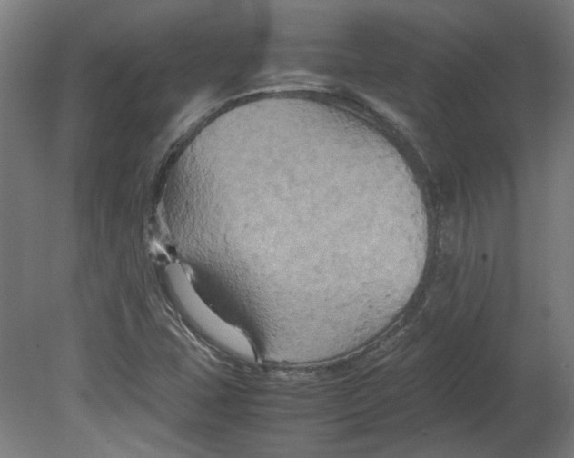 X0000080661407200701050931