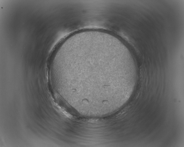 X0000080661408200701050931