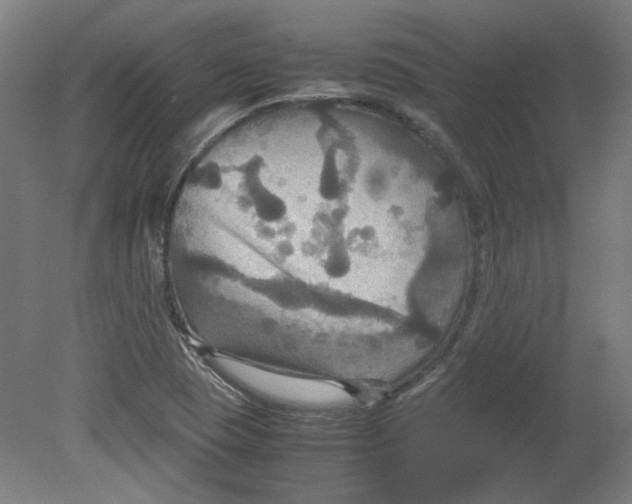 X0000080661409200701050931