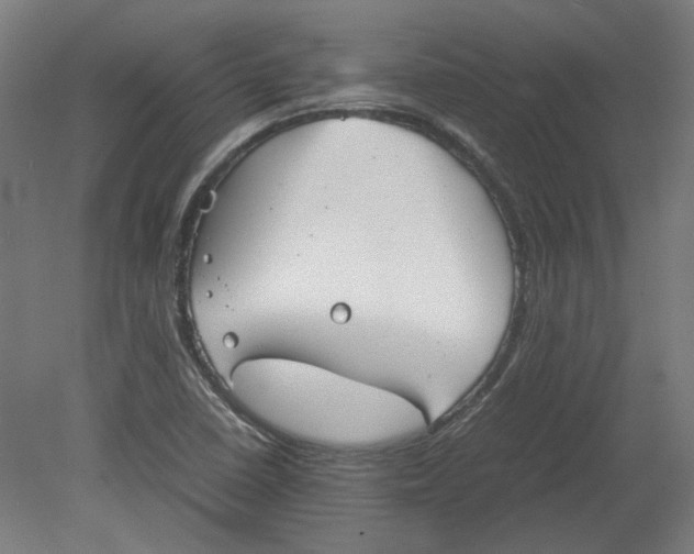 X0000080661410200701050931