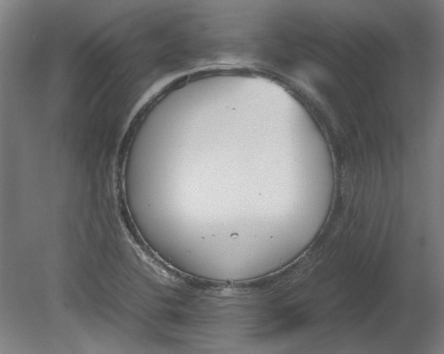 X0000080661412200701050931