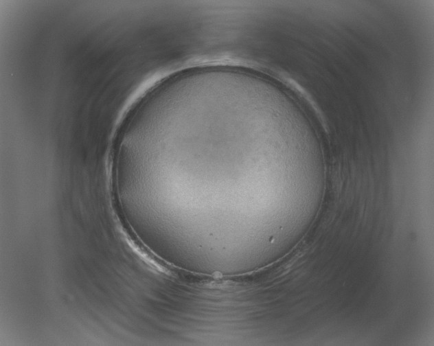 X0000080661416200701050931