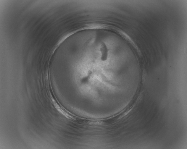 X0000080661417200701050931