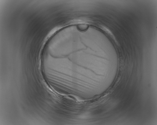 X0000080661419200701050931