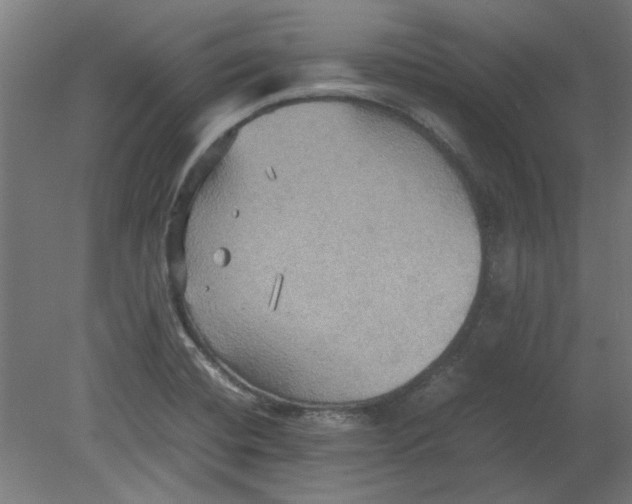 X0000080661420200701050931