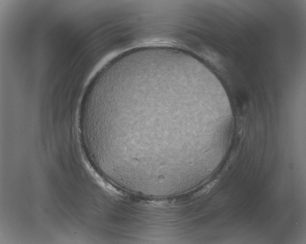 X0000080661422200701050931