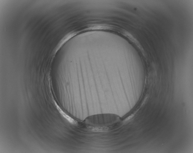 X0000080661425200701050931