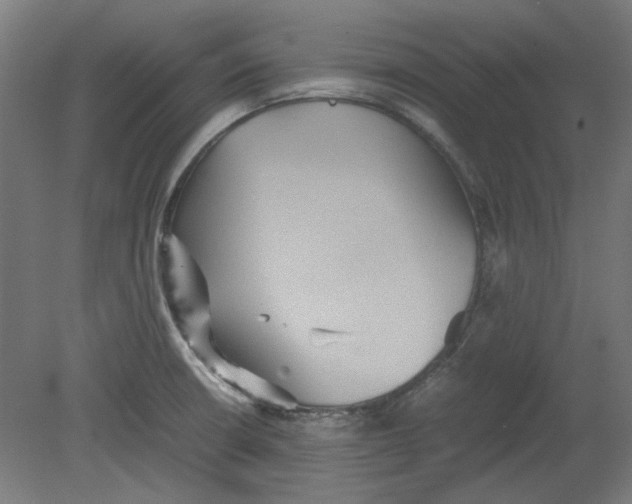 X0000080661426200701050931