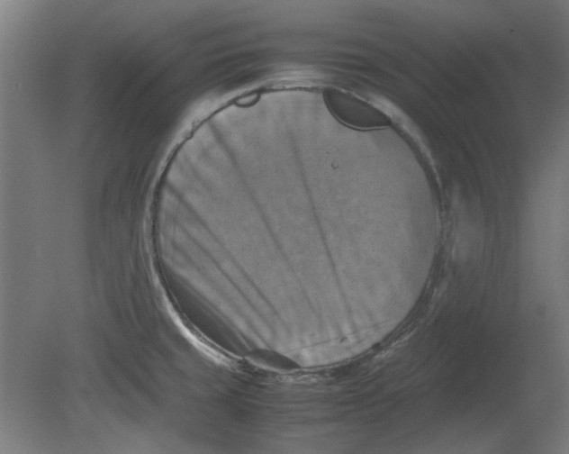 X0000080661429200701050931