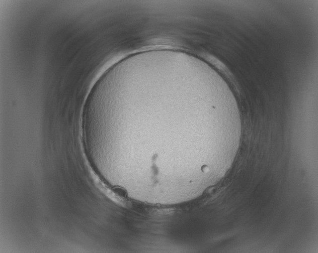 X0000080661431200701050931