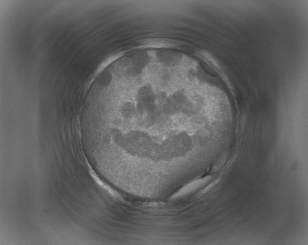 X0000080661433200701050931