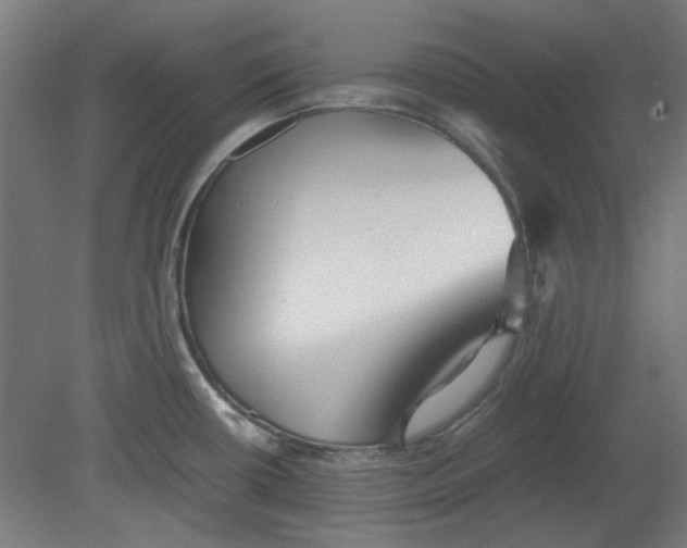 X0000080661434200701050931