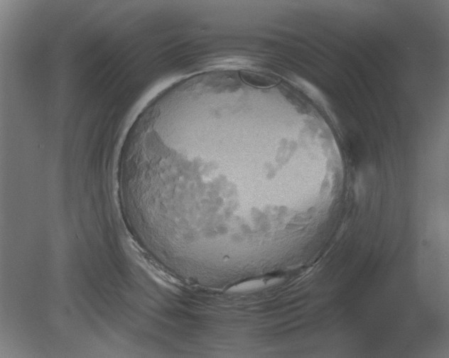 X0000080661435200701050931