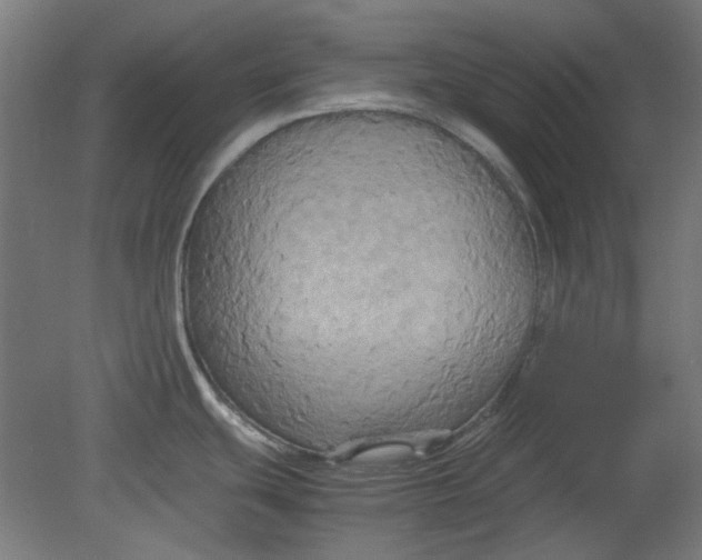 X0000080661439200701050931