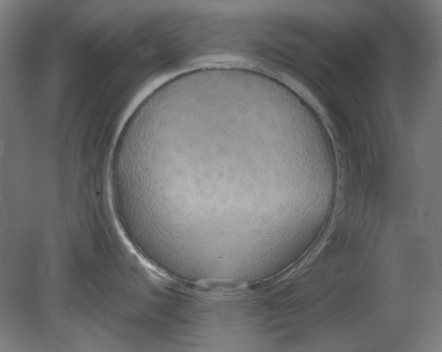 X0000080661440200701050931