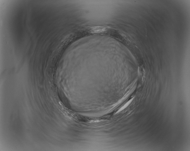 X0000080661441200701050930