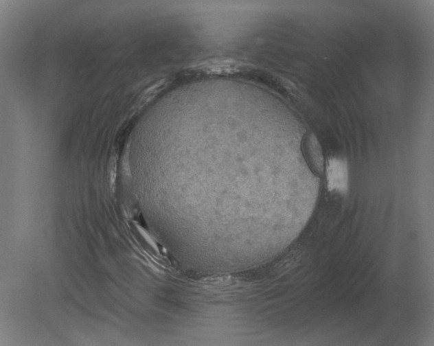 X0000080661444200701050930