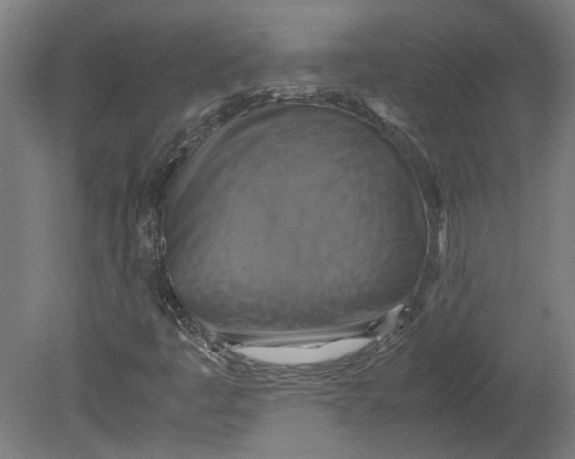 X0000080661445200701050930