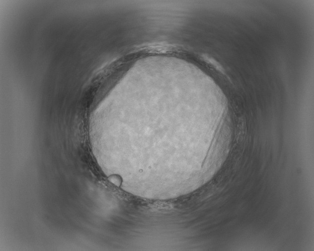 X0000080661446200701050930