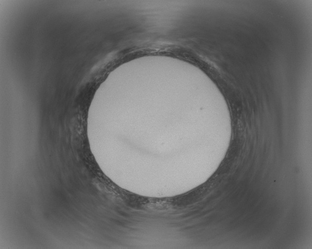 X0000080661447200701050930