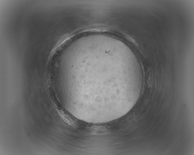 X0000080661448200701050930