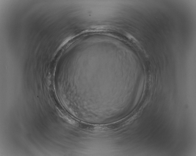 X0000080661449200701050930