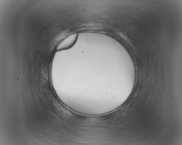 X0000080661451200701050930