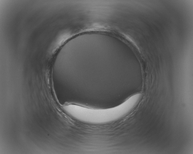 X0000080661455200701050930