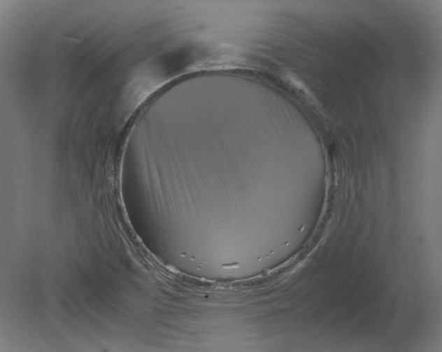 X0000080661457200701050930