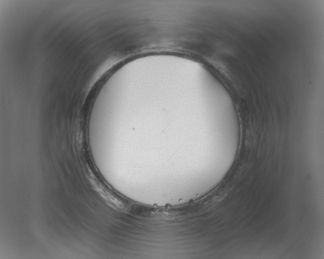 X0000080661458200701050930