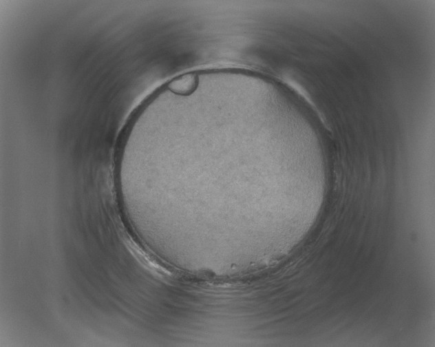 X0000080661460200701050930