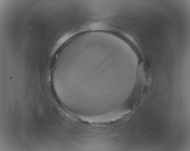 X0000080661461200701050930