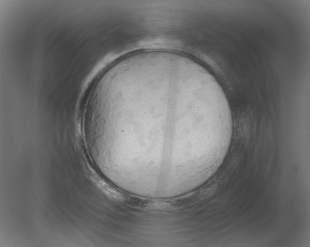 X0000080661462200701050930