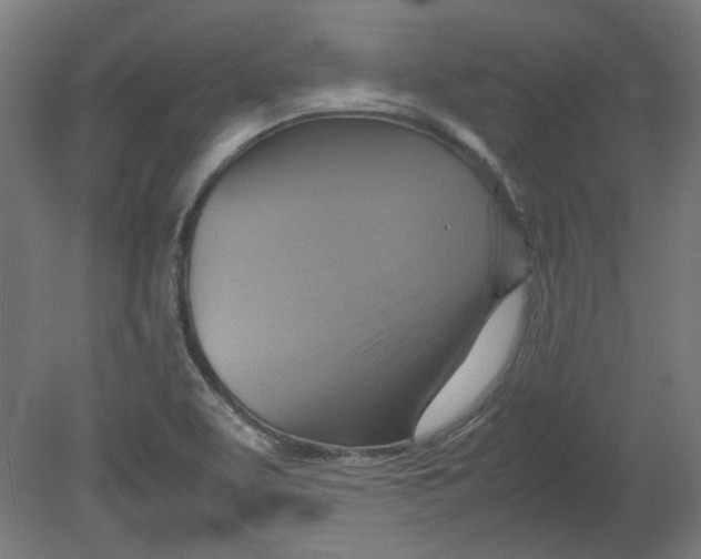 X0000080661463200701050930