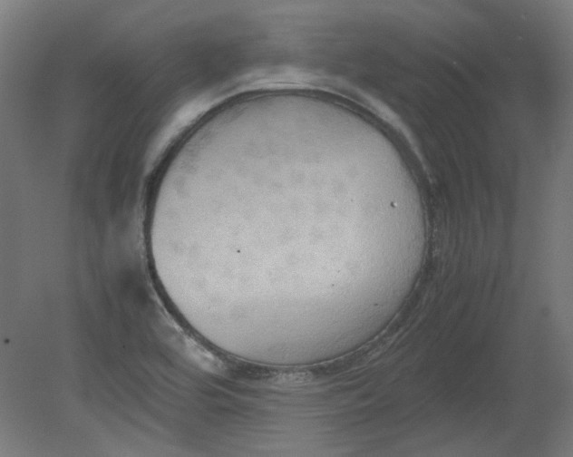 X0000080661464200701050930