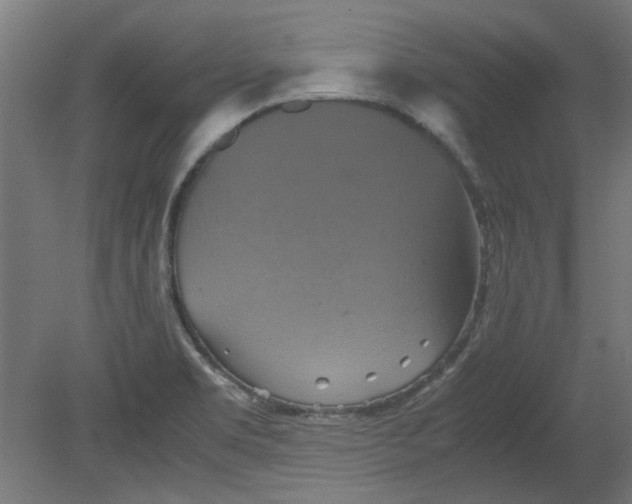 X0000080661469200701050930